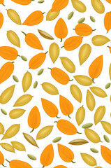 Fototapeta premium Pumpkin seeds on a white background.