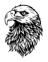 Eagle Head | patriotic animal | Eagle | Wildlife | Big bird | Eagle face | Bird prey | Bird king | Original Illustration | Vector and Clipart | Cutfile and Stencil