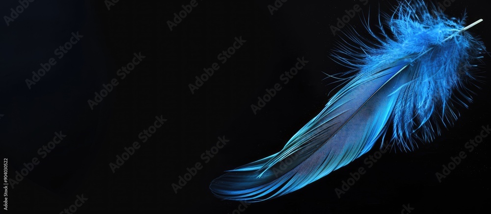 Poster feather falling gracefully in blue against a black background with copy space image