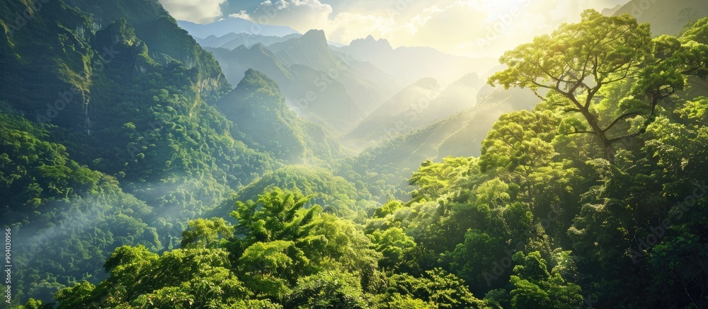 Poster Scenic view of a mountain landscape with lush trees and Copy space image