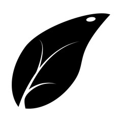 leaf icon illustration vector
