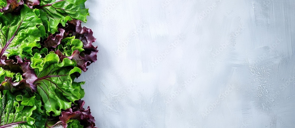 Poster red oak lettuce on a blank white surface with copy space image