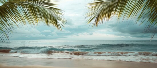 A serene beach scene with palm branches against a tranquil sea backdrop suitable for a copy space image