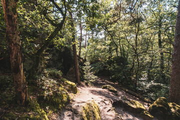 Dörenther Klippen - Ibbenbüren - Teutoburger Wald