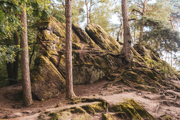 Dörenther Klippen - Ibbenbüren - Teutoburger Wald
