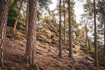Dörenther Klippen - Ibbenbüren - Teutoburger Wald