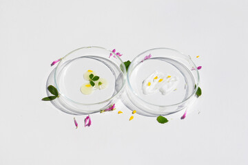 Petri dishes with cosmetic products and plant parts. Natural skin care concept, laboratory research