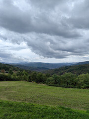 Naklejka premium Beautiful green walley in Istria Croatia, trees and forest under the cloudy sky