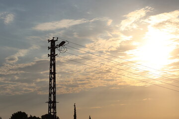 Obraz premium power line against cloudy sky
