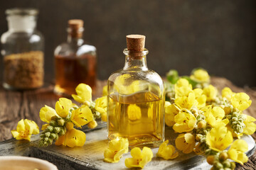 A bottle of herbal tincture with fresh mullein or Verbascum densiflorum flowers