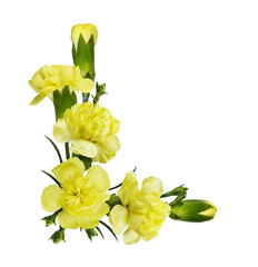 Yellow carnation flowers in a floral cotner arrangement isolated on white or transparent background