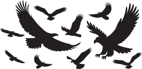silhouette of eagles