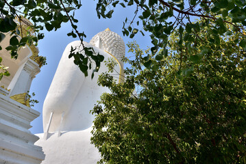 Wat Phai Rong Wua is the most famous landmark in Suphan Buri, Thailand  © Herotozero