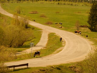 road in the countryside