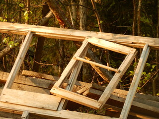 wooden house in the forest
