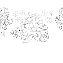 Vector simple tropical seamless pattern - proteas and bouquet of plumeria. Summer border with exotic flowers. Hand drawn graphic ornament. Black circuit silhouette