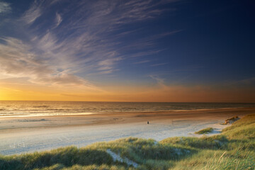 Sunset, landscape and bush by beach or environment with water and ocean or clouds in blue sky. Coastline, earth and greenery or seaside in nature and outdoor for summer or evening in California