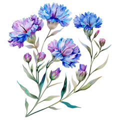 bright and cheerful watercolor snapdragons adding a touch of nature’s beauty to home decor and digital designs