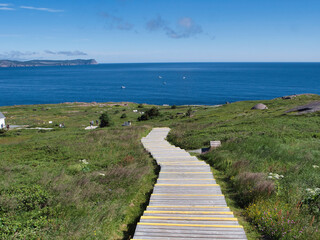 A winding boardwalk trail leads the way at Cape Spear, guiding visitors along rugged coastal cliffs with sweeping ocean views.