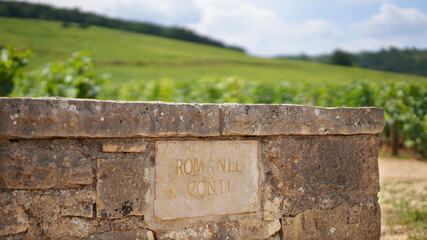 Romanée Conti vineyards in Burgundy, France