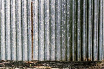 Small brown termite nests grow in long lines on zinc sheet wall. The line of termite nest on a metal sheet wall. Termites building a mud tube on zinc sheet fence. Termite problem in house concept.