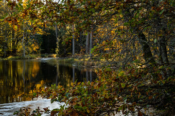 River in autumn. Farnebofjarden national park in north of Sweden