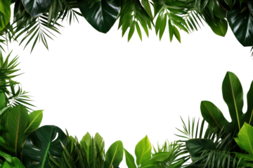 PNG  Lush tropical leaves frame background