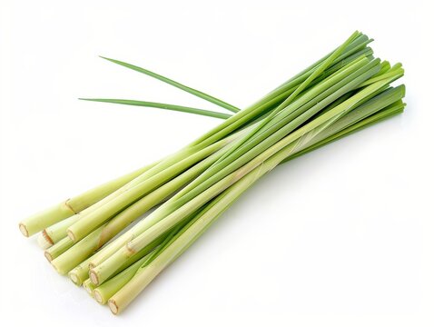 Photo of lemongrass (takrai) stalks, isolated on white background