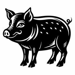 Fototapeta premium A black pig with a white snout