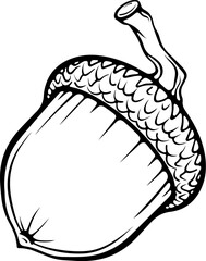 One acorn oak tree nut with a cap. Autumn design element. Vector illustrations in hand drawn sketch style isolated on white. Black outline graphic for print, coloring book © ennona