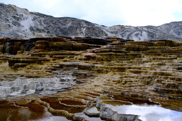 Minerva Terrace landscape at Mammoth Hot Springs, Yellowstone National Park