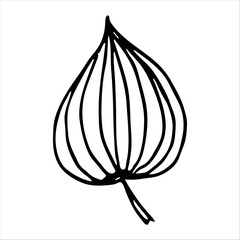 hand drawn simple botanical floral doodle element