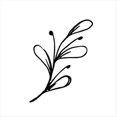 hand drawn simple botanical floral doodle element