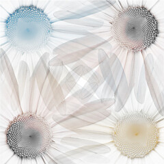 Abstract Interiors Decorative 3d Grunge texture Wallpaper design background