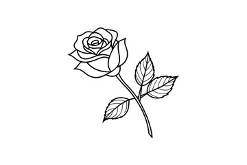 Rose flower for design element and coloring book pages for kids