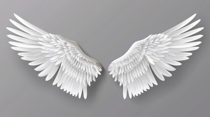 White Angel Wings on Gray Background