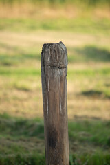 Old wooden post