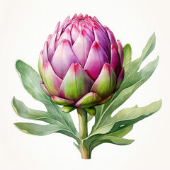 Fototapeta premium Watercolor Artichoke Illustration, Generative Ai