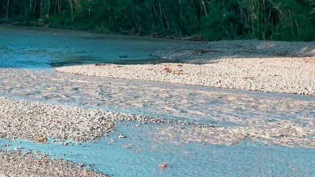 flood of the Enza river in Montecchio Emilia Italy at sunset. High quality 4k footage