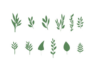 collection of simple leaves isolated on a white background 