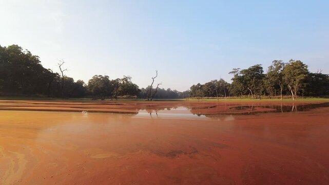 Time lapse Beautiful red blooming Kamal taal lake from viewpoint in Chitwan national park. Nepal famous travel destination landmark. Chitawan jungles buffer zone