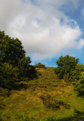 Fototapeta premium Sky, landscape and nature of grass, outdoor and environment with plants, peace and countryside. Farmland, green and sustainability for farming, agriculture and growth of crops in earth of Brazil
