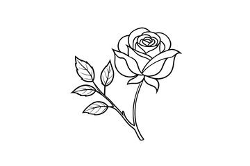Rose flower for design element and coloring book pages for kids