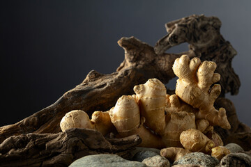 Ginger root with old snags and stones on a black background.