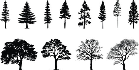 Set of Tree collection