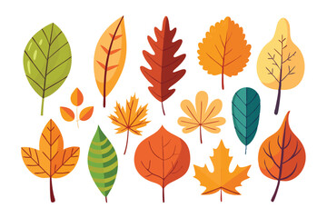 Fototapeta premium Collection of Colorful Autumn Leaves in Various Shapes and Sizes
