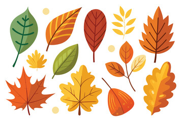 Obraz premium Collection of Colorful Autumn Leaves with White Background