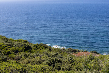 Sardinia Coastline with Dense Greenery
