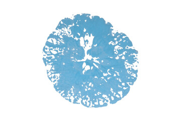 Light blue watercolor background. Artistic hand paint. Isolated on transparent background.
