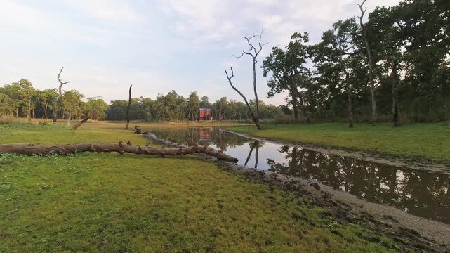 Birds and spotted deer pass by Kamal Taal lake in Chitwan national park jungles buffer zone birds animals observation point. Nepal famous travel destination